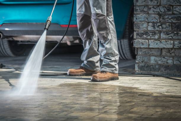 Best Soft Washing  in Dasher, GA