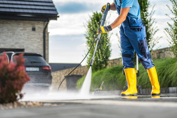 Animal Enclosure Cleaning in Dasher, GA